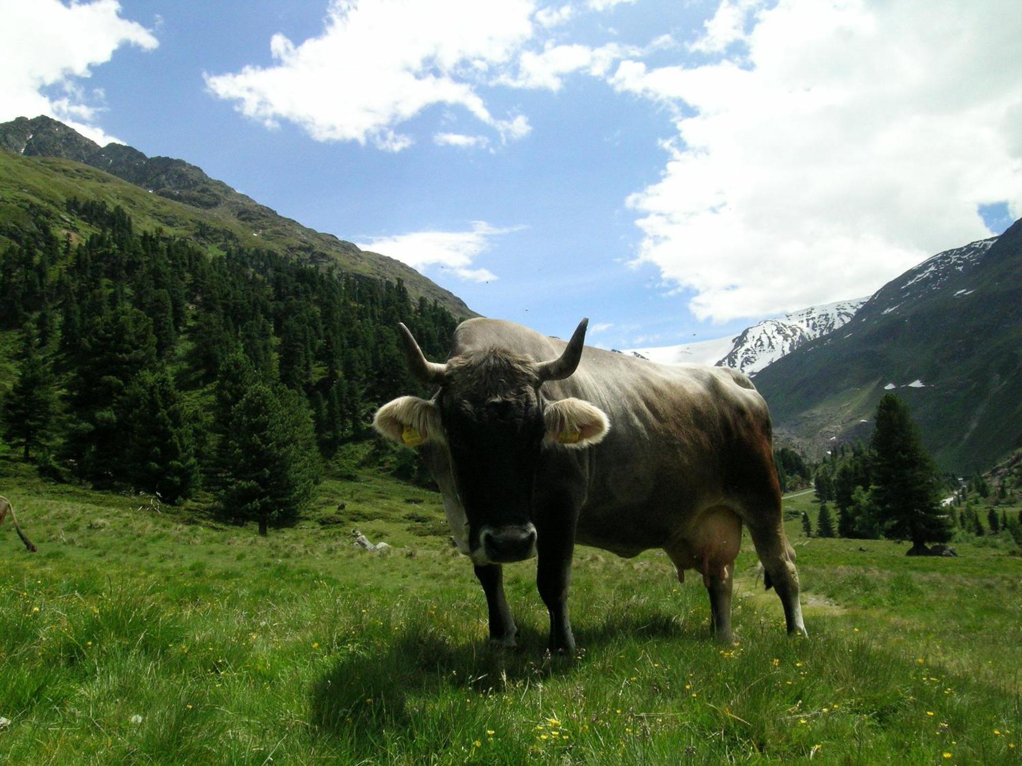 Apart Dorfbaeck Kaunertal Exterior photo